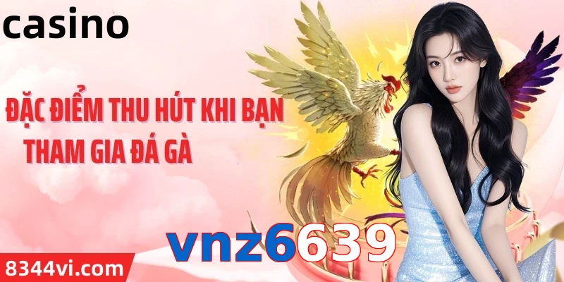 vnz6639