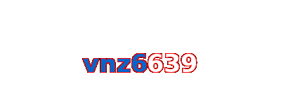 vnz6639