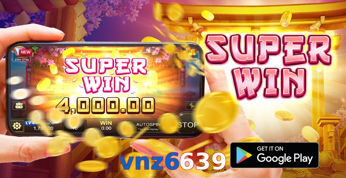 vnz6639