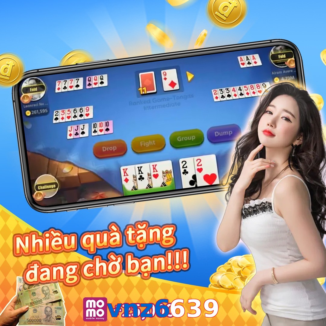 vnz6639