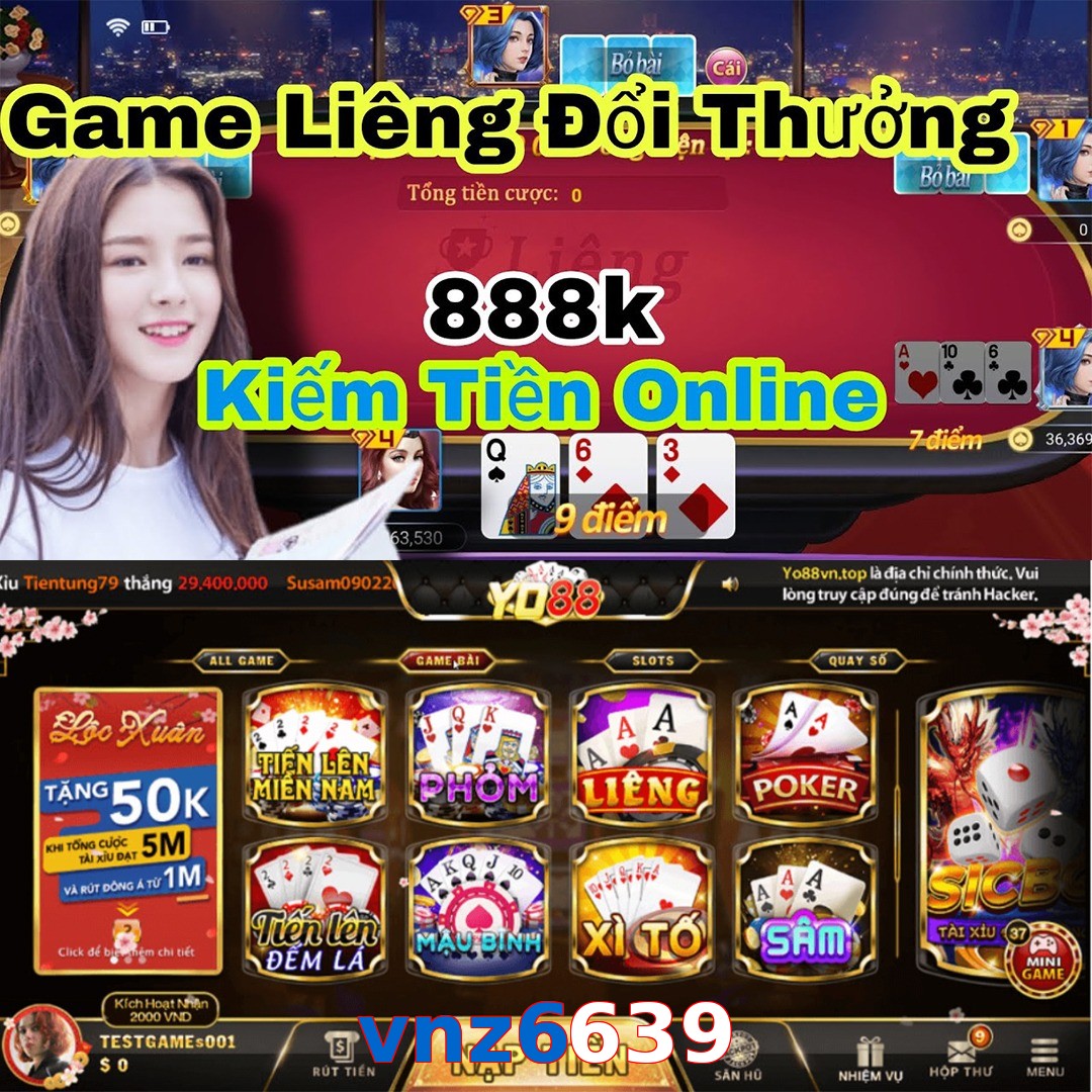 vnz6639