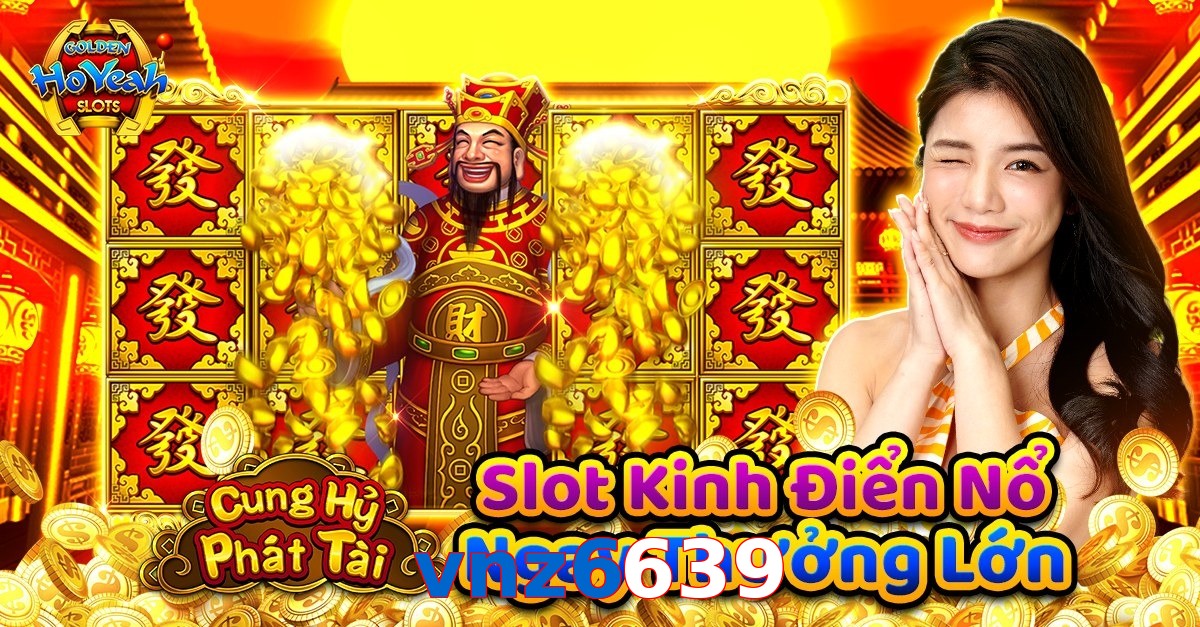 vnz6639