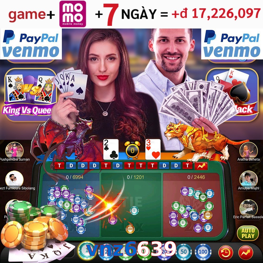 vnz6639