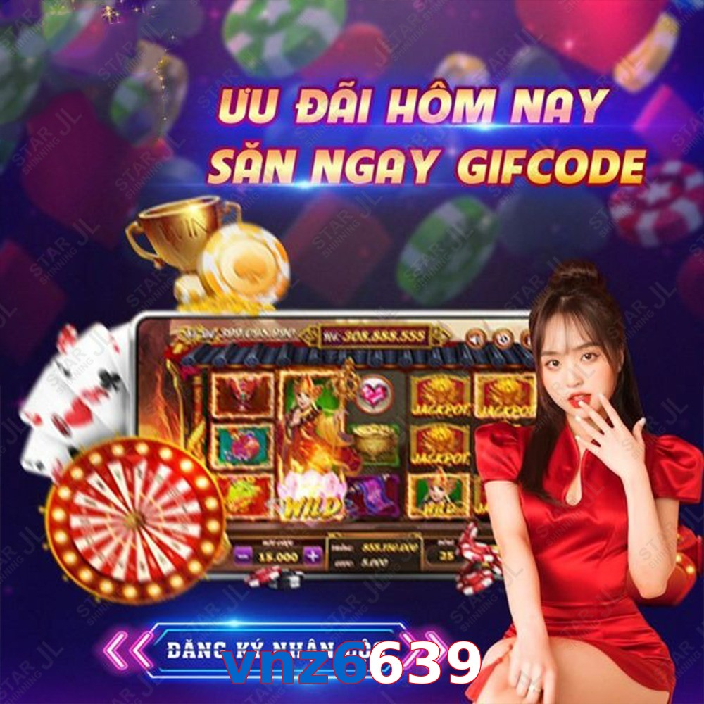vnz6639