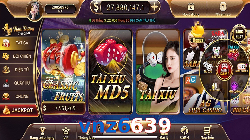 vnz6639