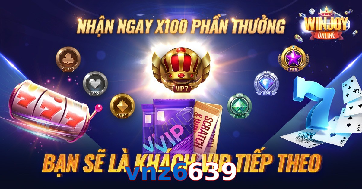 vnz6639