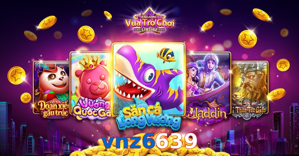 vnz6639