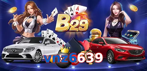 vnz6639