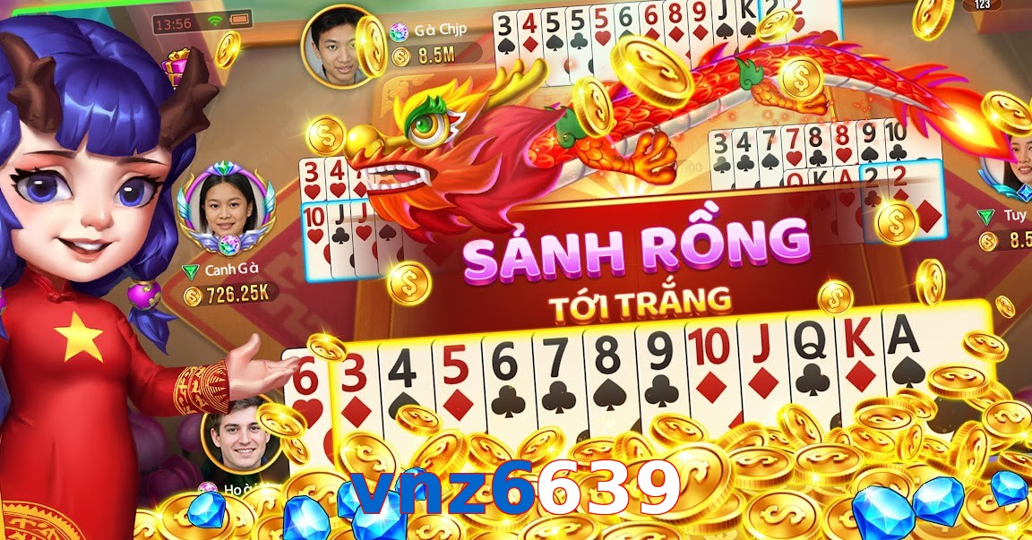 vnz6639