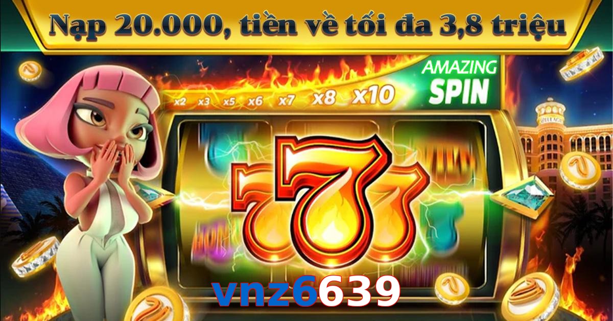 vnz6639