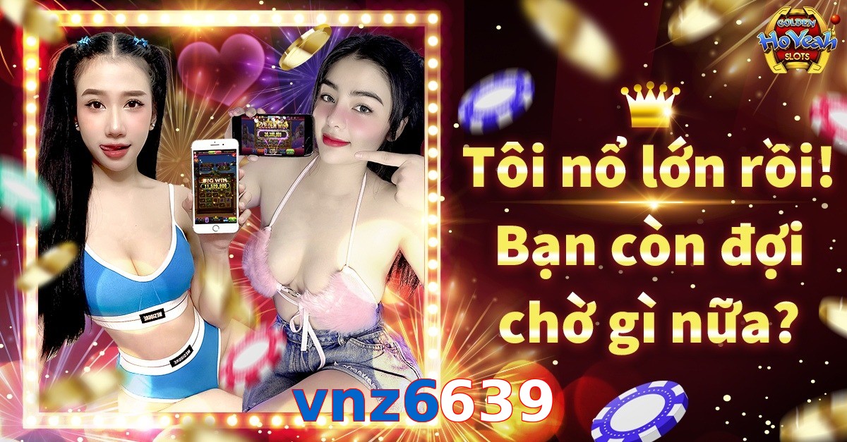 vnz6639