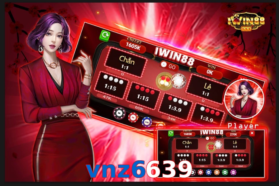 vnz6639