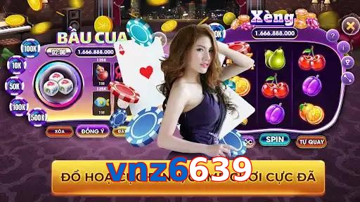 vnz6639