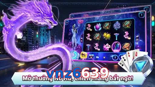 vnz6639