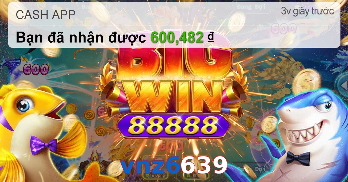 vnz6639