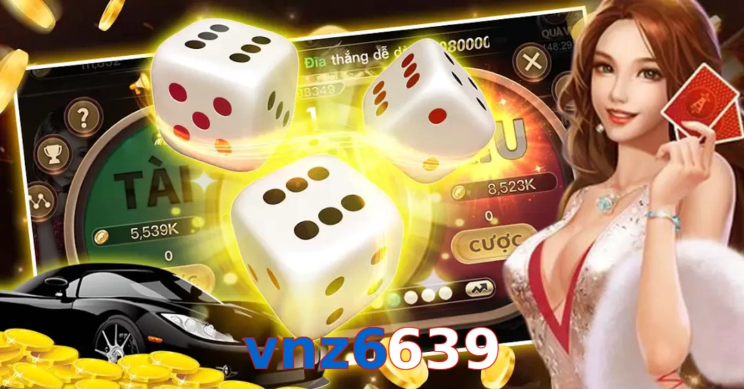 vnz6639