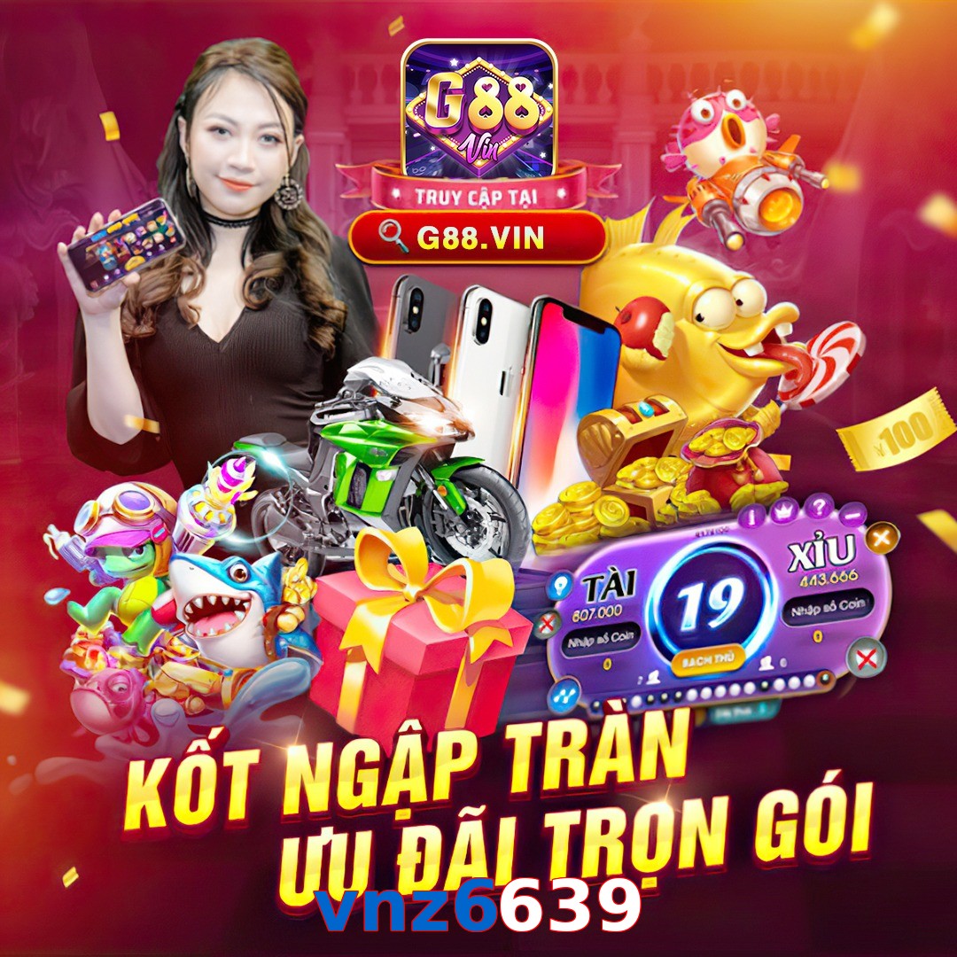 vnz6639