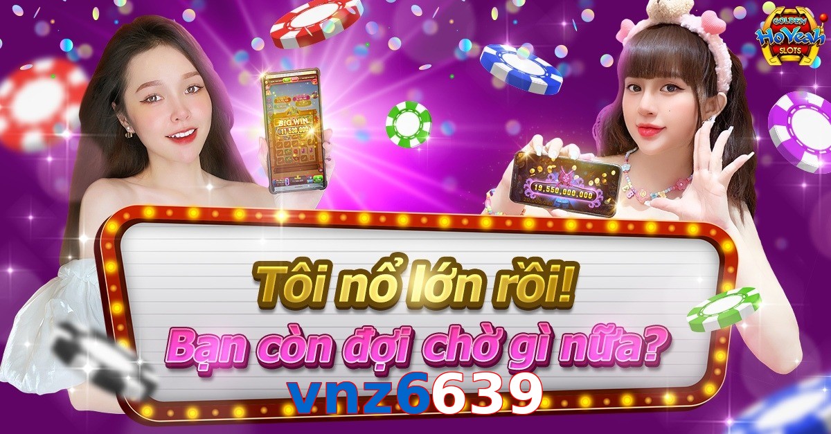 vnz6639
