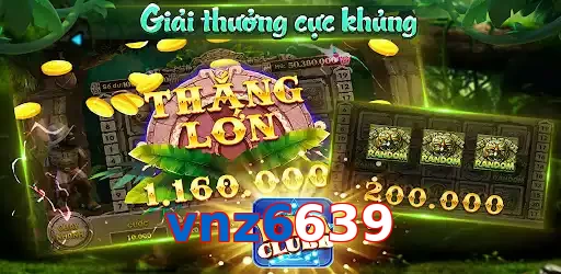 vnz6639