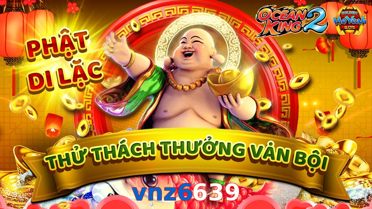vnz6639