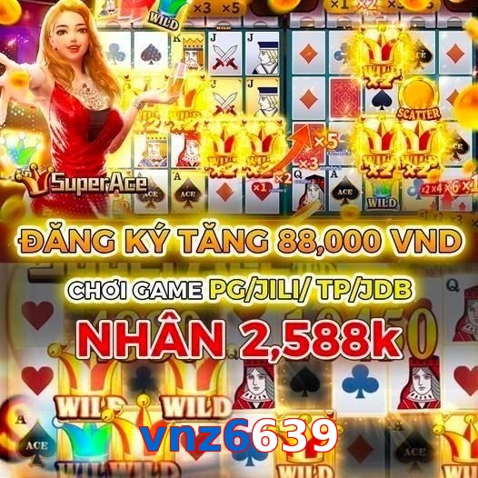 vnz6639