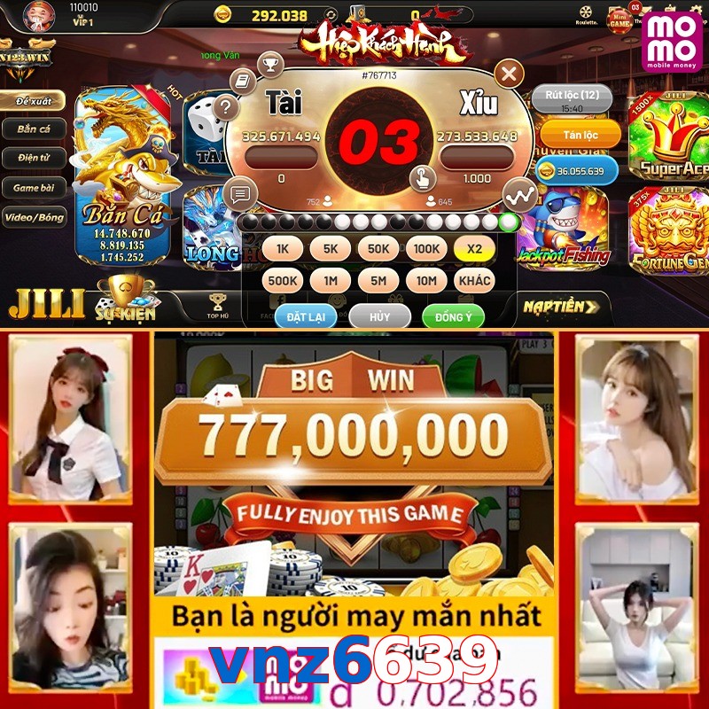 vnz6639