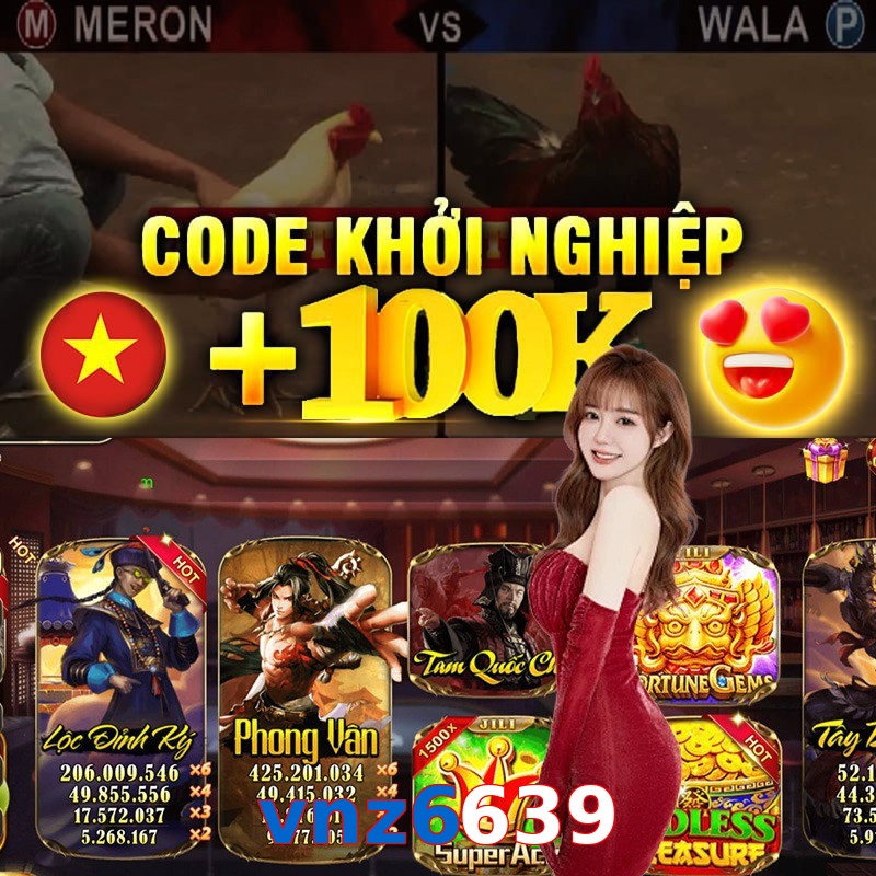 vnz6639