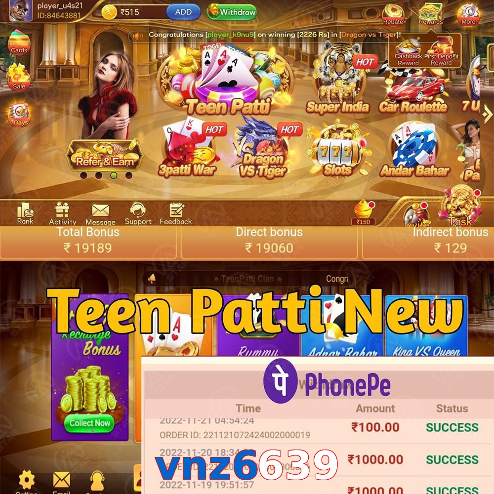vnz6639