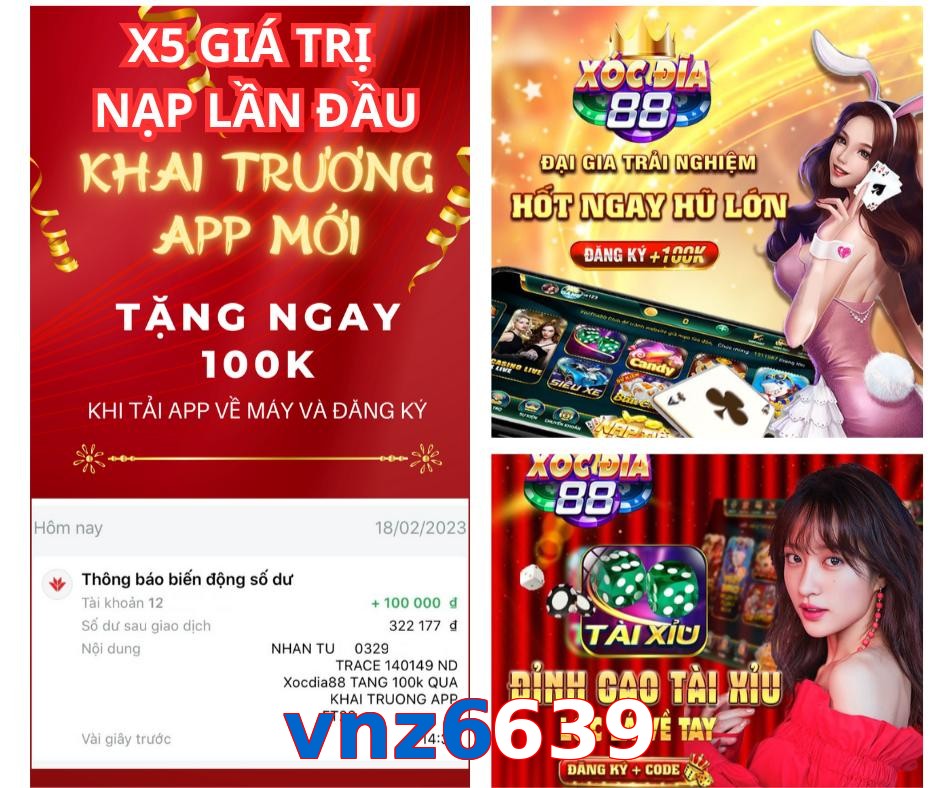 vnz6639