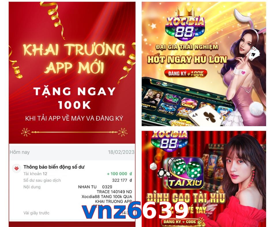 vnz6639